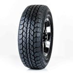 Летняя шина Rydanz Raptor R09